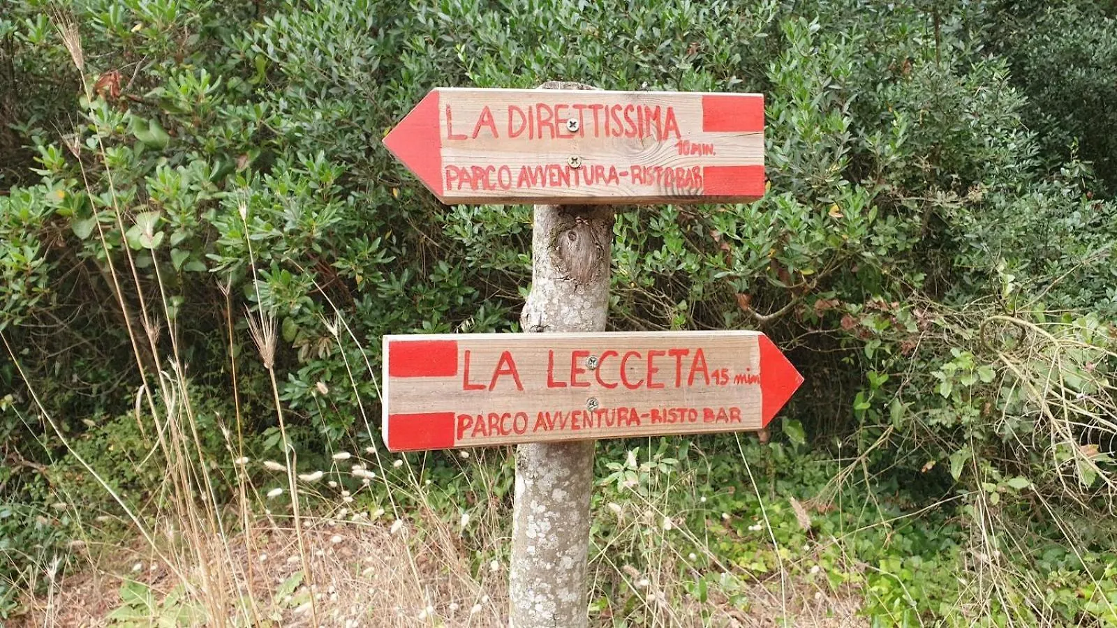 Casa Zefiro, Tra Pineta E Mare! Daire Fregenae